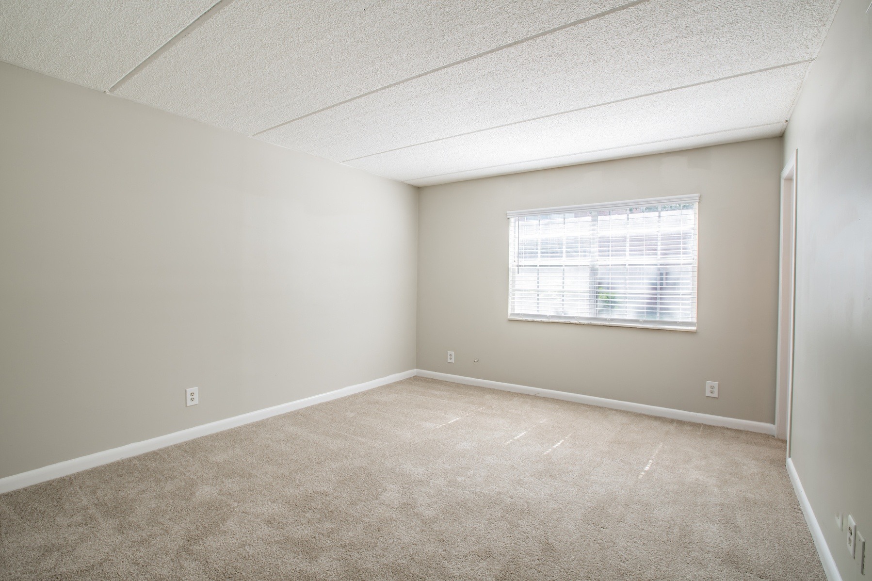 Gallery Photo 8